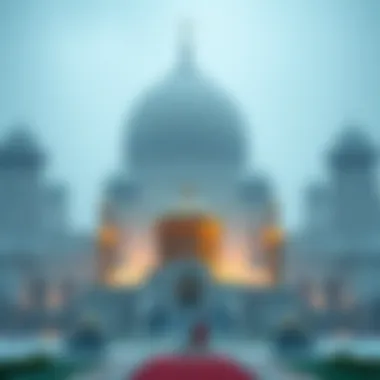 Magnificent 레이첼 울프슨: 디지털 자산의 내러티브와 영향력 분석 Magnificent 레이첼 울프슨: 디지털 자산의 내러티브와 영향력 분석