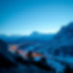 Overview of the Avalanche ecosystem