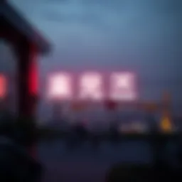 불마켓의 이해 Introduction